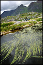 Lofoten%2003