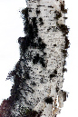 _9
